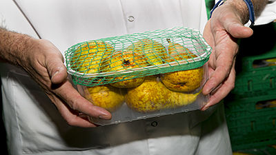 Filet de protection tissé pour barquettes de fruits et légumes